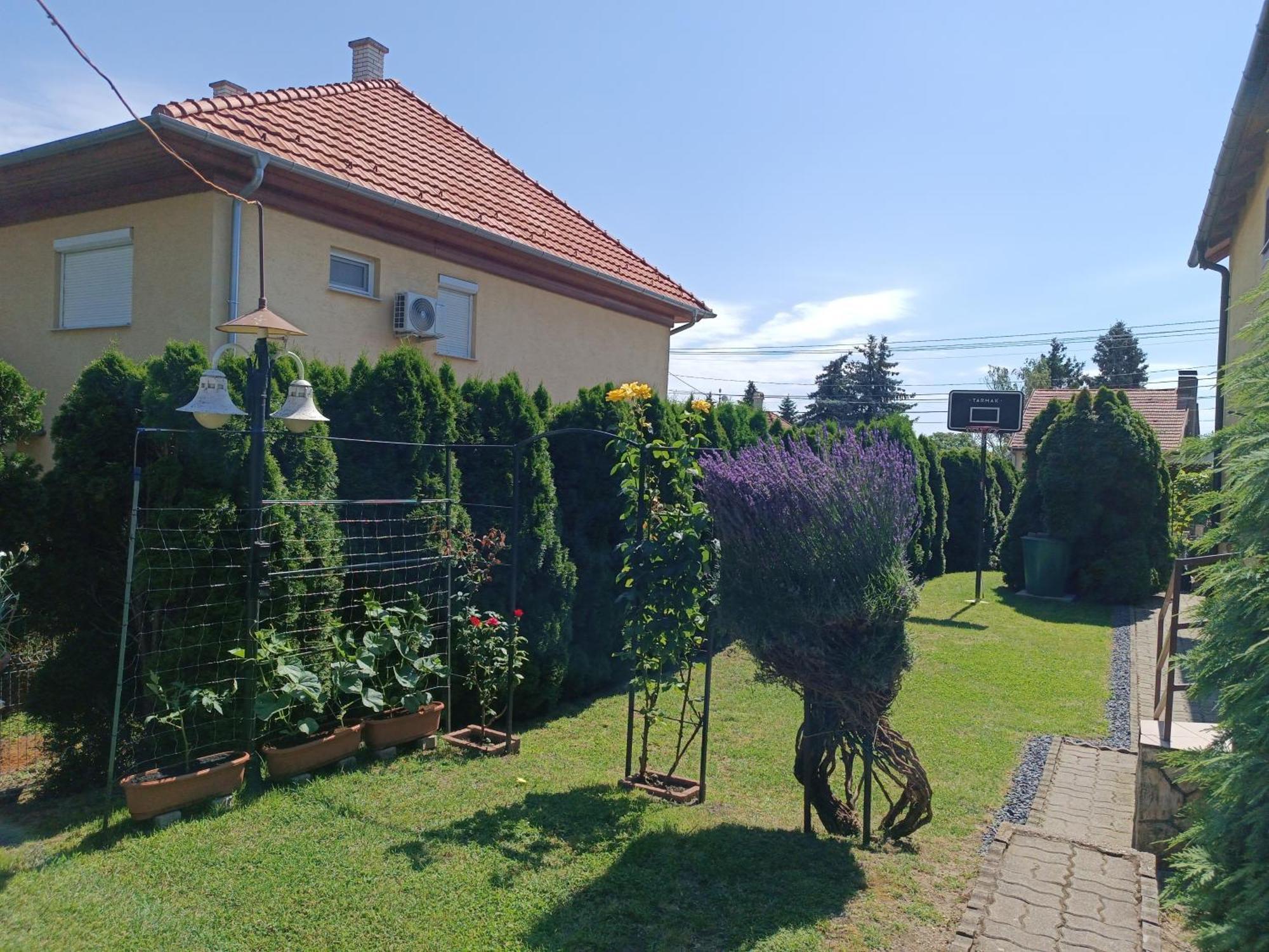 Hotel Anna Ilona Vendeghaz Badacsonytomaj Zewnętrze zdjęcie