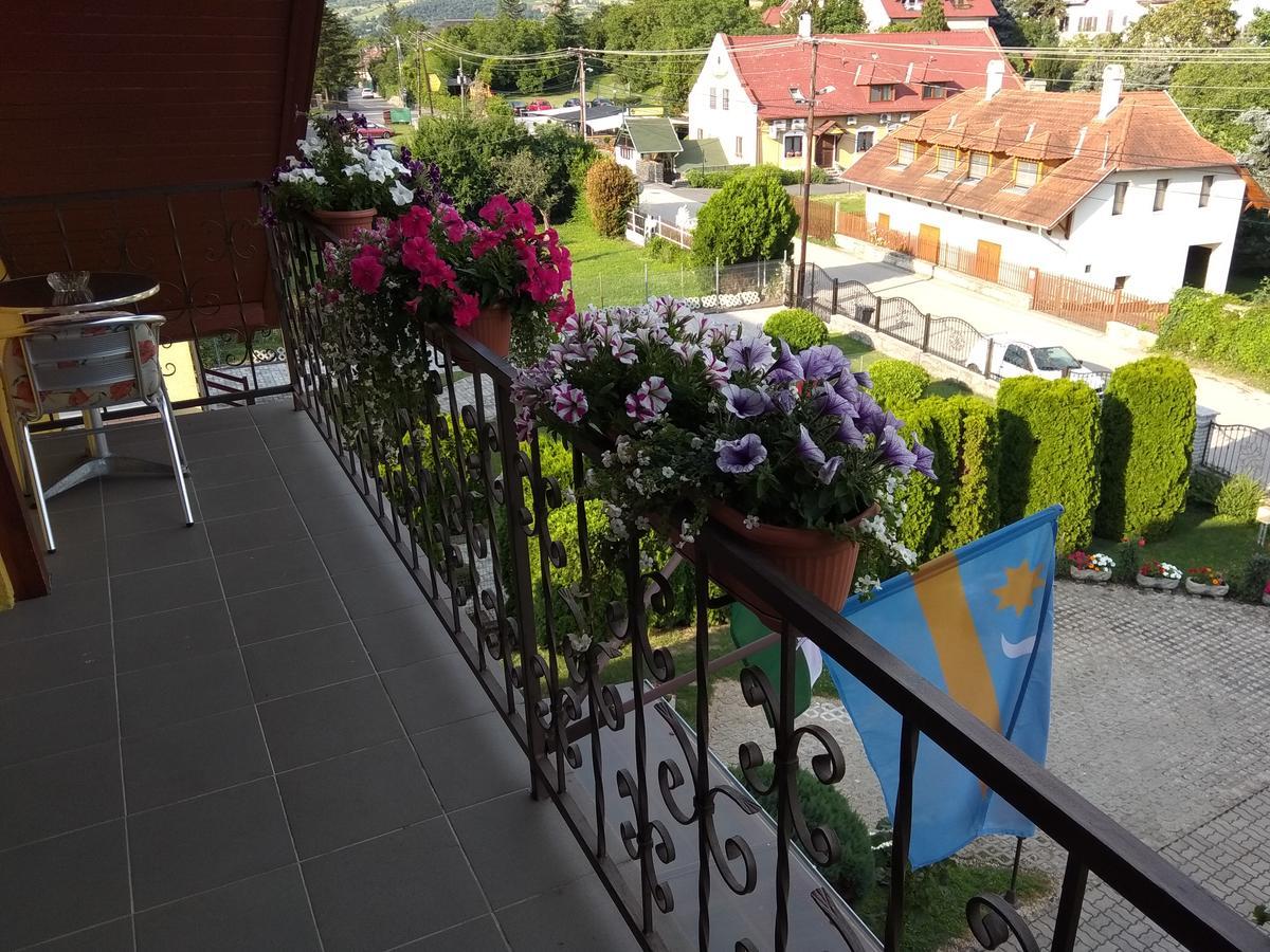 Hotel Anna Ilona Vendeghaz Badacsonytomaj Zewnętrze zdjęcie