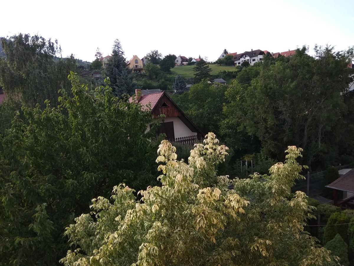 Hotel Anna Ilona Vendeghaz Badacsonytomaj Zewnętrze zdjęcie