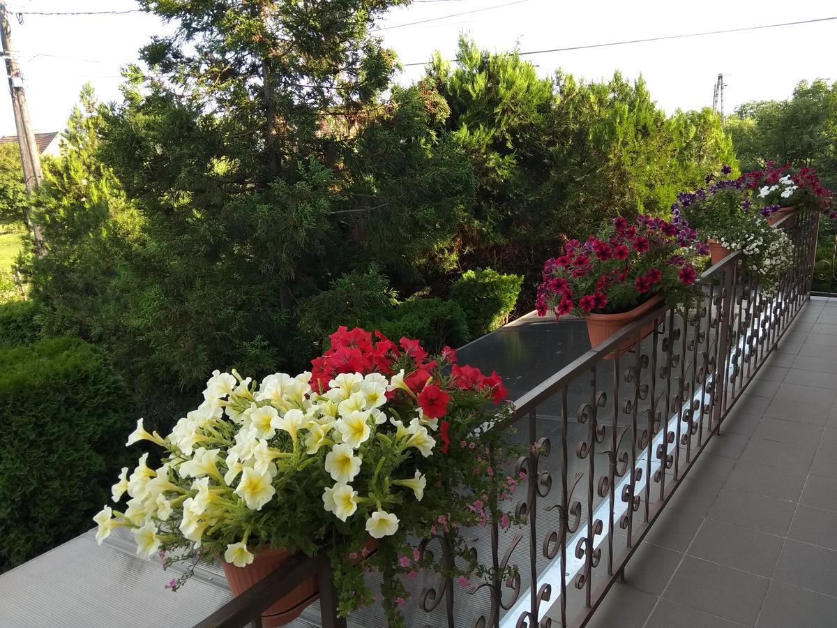 Hotel Anna Ilona Vendeghaz Badacsonytomaj Zewnętrze zdjęcie