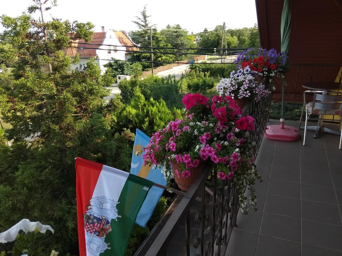 Hotel Anna Ilona Vendeghaz Badacsonytomaj Zewnętrze zdjęcie
