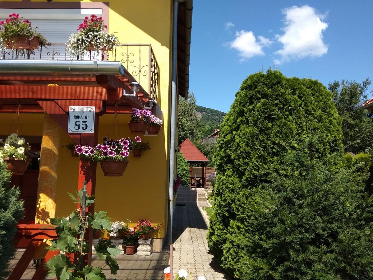 Hotel Anna Ilona Vendeghaz Badacsonytomaj Zewnętrze zdjęcie